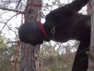 Tied up to a tree outdoor on charming clothes&comma; wearing pantyhose and high ankle boots heels&comma; rough fuck